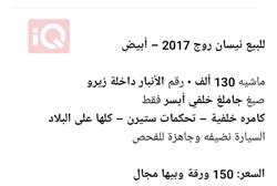 نیسان ڕۆگ سپۆرت